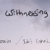 Witnessing (feat. Osho) artwork