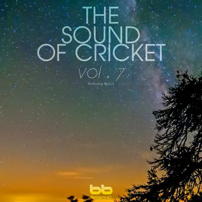 The Sound of Cricket, Vol. 7 - EP - Big Band
