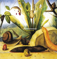 Semisonic - F.N.T.