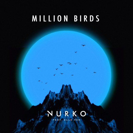 Cover artwork for Million Birds (feat. Elle Vee)