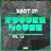 Best of Future House, Vol. 16