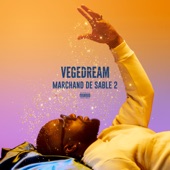 Princes de la ville (feat. Vegedream) artwork