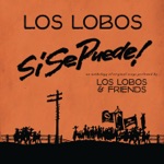 Si Se Puede!: Los Lobos and Friends