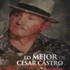 Lo Mejor de César Castro