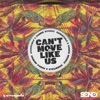 Can't Move Like Us - Single