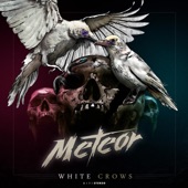 White Crows artwork