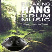 Relaxing Hang Drum Music (Played Live in the Forest) Spiritual Heal, Healing Music for Meditation, Stress Relief, Yoga & Spa artwork