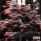 I See cover