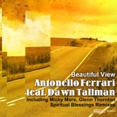 Beautiful View (feat. Dawn Tallman) [Main Mix] artwork