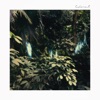 Calescent - Single