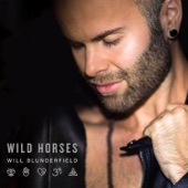 Wild Horses (Special Edition) artwork