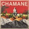 Thunder (feat. Snacky Chan & DJ Tiz) - Chamane lyrics