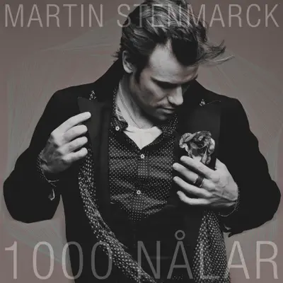 1000 Nålar - Single - Martin Stenmarck