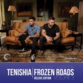 Frozen Roads, Vol. 3 (Deluxe Edition) artwork