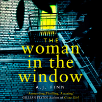 A. J. Finn - The Woman in the Window artwork