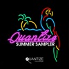 Quantize Summer Sampler 2017, 2017