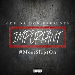 Important - Single by Cdp da Don album reviews, ratings, credits