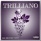 Feel My Face (feat. Trilliano) - GrownBoiTrap lyrics