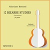 Borsotti: Twelve Bizarre Studies for Guitar, Tribute to Frank Zappa, 2014