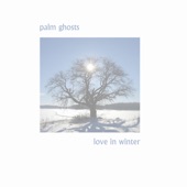 Palm Ghosts - Love in Winter
