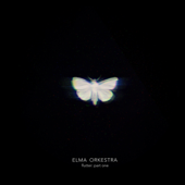 Flutter: Part One - Elma Orkestra