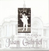Celebrando 25 Años de Juan Gabriel en el Palacio de Bellas Artes (En Vivo) artwork