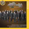 Íconos 25 Éxitos: Banda El Recodo De Cruz Lizárraga album lyrics, reviews, download