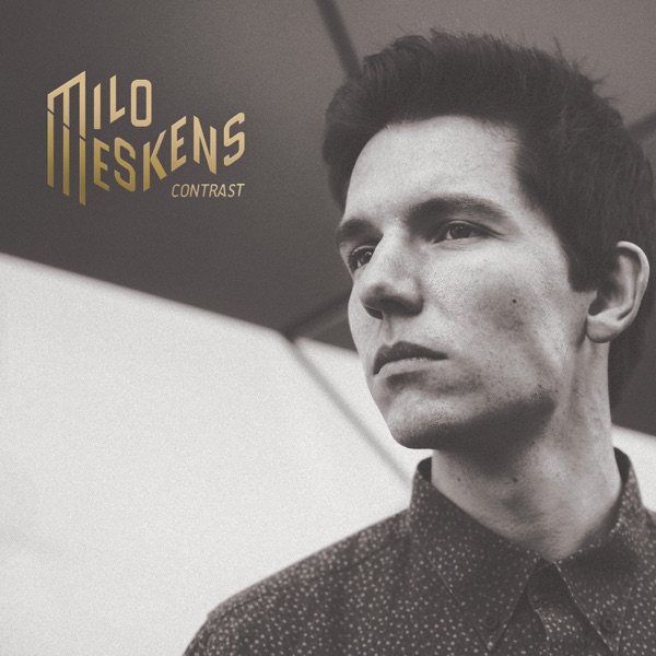 Milo Meskens - Stone Cold Liar
