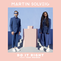 Martin Solveig - Do It Right (feat. Tkay Maidza) artwork