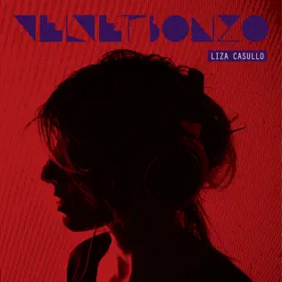 lataa albumi Liza Casullo - Velvetbonzo