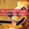 Relax my Cat & Dog - Pet Care Music Therapy lyrics