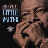 The Essential Little Walter artwork