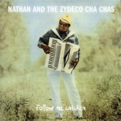 Nathan And The Zydeco Cha-Chas - One Track Mind