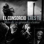 Eres Tú: Mas de 50 Grandes éxitos artwork