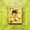Palm Trees - Rambo Hustle lyrics