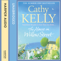 Cathy Kelly - The House on Willow Street artwork