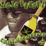 Mojo Buford - You're Gonna Drive Me Away
