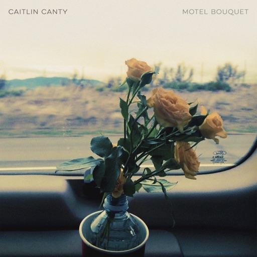 Art for Motel by Caitlin Canty