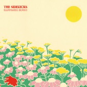 The Sidekicks - Serpent in a Sun Drought