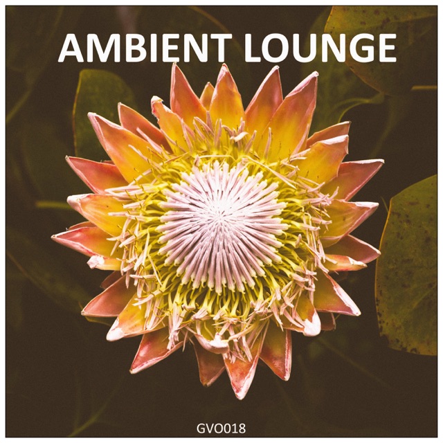Ambient Lounge Album Cover