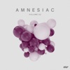 Amnesiac, Vol.02