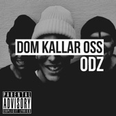 Dom kallar oss odz - EP artwork