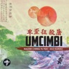 Umcimbi (feat. Lelo Kamau) - Single