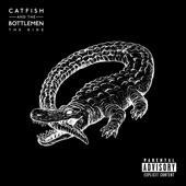 Catfish and the Bottlemen - Twice