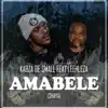 Amabele Shaya (feat. Leehleza) - Single album lyrics, reviews, download