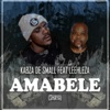 Amabele Shaya (feat. Leehleza) - Single