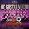 Me Gustas Mucho - Banda La Contagiosa lyrics