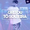 Gritou Tô Solteira - Mc Theus lyrics