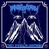 They Dwell in Lightning