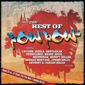 Pow Pow Presents - Best of Pow Pow artwork